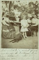 T3 1906 Verebély, Vráble; Család A Kertben Kutyával / Family In The Garden With Dog. Photo (EK) - Other & Unclassified