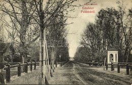 T2/T3 1907 Palánka, Bácska-Palánka, Backa Palanka; Ligeti út. Steimnitz Sándor Kiadása / Promenade In The Park - Zonder Classificatie