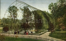 ** T2 New York City, New York Zoological Park, The Flying Cage - Andere & Zonder Classificatie