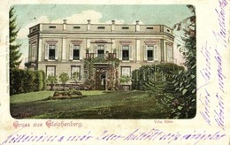 T3 1904 Bad Gleichenberg, Villa Süss (EB) - Sonstige & Ohne Zuordnung