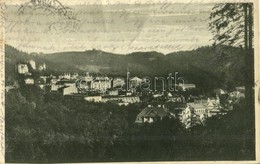 T2 1925 Mariánské Lázne, Marienbad; Blick Von Der Carolahöhe / General View - Otros & Sin Clasificación