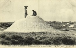 T1/T2 1913 Guérande, Les Marais Salants, Transport Du Sel Sur Le Mulon / Salt Marsh - Other & Unclassified