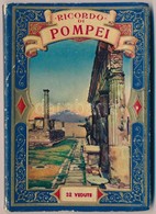 Pompei - Leporello Booklet (non PC) - Andere & Zonder Classificatie