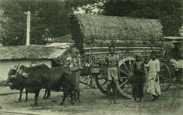 ** T2 Ceylon, Sri Lanka; Native Bullock Cart, Folklore - Altri & Non Classificati