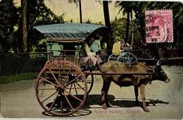 T2/T3 1911 Ceylon, Sri Lanka; Bullock Hackery, Folklore. TCV Card - Other & Unclassified