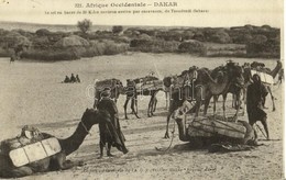 ** T2 Le Sel Barre De 30 Kilos Environ Arrive Par Caravanes De Taoudenit (Sahara) / Caravan, Camels, Folklore From Mali - Sin Clasificación