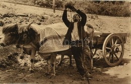 T1 1927 Pays Basque, Le Buveur / Basque Farmer With Ox Cart, Folklore - Non Classificati