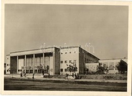 ** T2 Nemzeti Sportcsarnok. Foto Járai Rudolf. Képzőművészeti Alap / National Sports Hall - Ohne Zuordnung