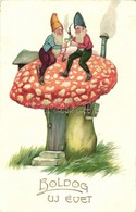 T3 New Year, Dwarves On A Mushroom, HWB Ser. 3570. Litho (small Tear) - Zonder Classificatie