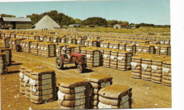 MS - Mississippi > Jackson BALES OF COTTON 1966 - Jackson