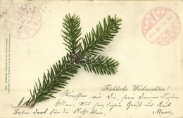 T2/T3 1901 Fröhliche Weihnachten! / Christmas Greeting Card. Farbenlichtdruck Von Martin Rommel & Co. 536. - Non Classés