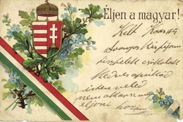 * T3/T4 Éljen A Magyar! Magyar Címeres és Zászlós Hazafias Propaganda Lap / Hungarian Patriotic Propaganda Card With Fla - Ohne Zuordnung