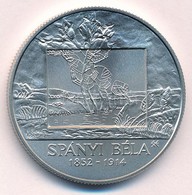 2014. 2000Ft Cu-Ni 'Spányi Béla 1852-1914' T:BU - Unclassified