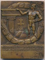 Bakonyi Sándor (1892-1937) ~1930. 'Pénzintézeti Sportegyletek Szövetsége 1912-1927' Br Emlékplakett 'LUDVIG' Gyártói Jel - Sin Clasificación