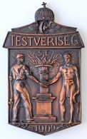 1939. 'Testvériség SE 1909' Br Sport Emlékplakett, Eredeti Tokban (84,5x52mm) T:1- - Ohne Zuordnung