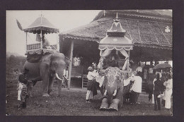 CPA éléphant Carte Photo RPPC Non Circulé Inde - Elefantes