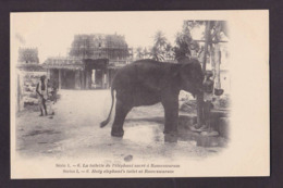 CPA éléphant Non Circulé Inde Rameswaram - Elefanti