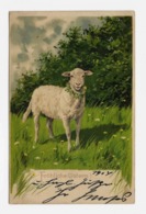 Alfred Mailick  Easter Lamb About 1903y. LYTOGRAPHIE  D117 - Mailick, Alfred