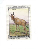 Antilope Le BUBALE TB 55 X 40mm 2 Scans Chocolat Peter Nestlé - Nestlé