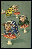 MALACOS üdvözlő Képeslap 1907.  /  PIG Greeting Vintage Pic. P.card - Varkens