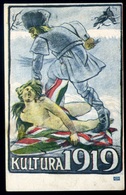 IRREDENTA Képeslap  /  Irredenta Vintage Pic. P.card - Hongarije