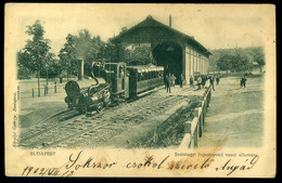 BUDAPEST 1902.  Svábhegy Fogaskerekű Vasút állomás, Régi Képeslap  /  Sábhegy Rack Railway Station Vintage Pic. P.card - Hongarije