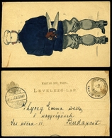 DARÓC 1899. Kézzel Festett Díjjegyes Levelezőlap  Budapestre Küldve  /  Hand Painted Stationery P.card To Budapest - Oblitérés