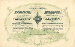 FABAN Részvénytársaság  Részvény 1921  /  FABAN JSC Share - Unclassified