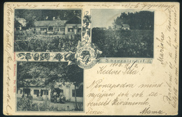 THERESIENHOF 1903. Régi Képeslap  /  Vintage Pic. P.card - Hungary