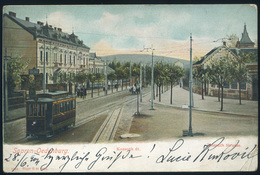 SOPRON 1901. Kossuth út, Villamos, Régi Képeslap  /  Kossuth Ave. Tram  Vintage Pic. P.card - Hungary