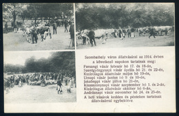 SZOMBATHELY 1914. Állatvásárai Régi Képeslap  /  Animal Market Vintage Pic. P.card - Hungary