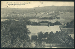 BOZSOK 1934. Képeslap, Szőlőhegy, Postaügynökségi Bélyegzéssel - Briefe U. Dokumente