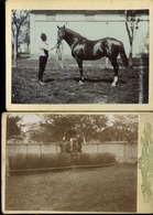 LOVASOK, LOVAK 42 Db Fotós Képeslap, Jó Tétel!  /  HORSES, RIDERS 42 Photo Vintage Pic. P.cards, Good Bundle - Horses