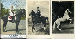 LOVASOK, LOVAK 61 Db Vegyes Képeslap, Jó Tétel!  /  HORSES, RIDERS 61 Various Vintage Pic. P.cards Good Bundle - Horses