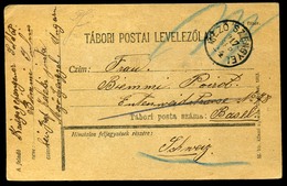 MEZŐSZENGYEL / Sânger 1917. Tábori Lap, Ritka Egykörös Bélyegzéssel Svájcba Küldve  /  FPO Card Rare Single Cycle Pmk To - Used Stamps