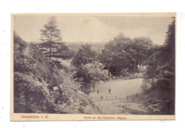 4530 IBBENBÜREN, Partie An Den Dörenther Klippen, 1918, Feldpost - Bahnpost Gütersloh - Ibbenbüren - Ibbenbüren