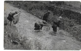 Cameroun- Kamerun (Fishing Shrimps) - Cameroun