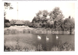 Deutschland - Berlin Zehlendorf - Am Dreipfuhl - Alte Ansicht - Zehlendorf