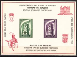 Belgium 1956 Europa CEPT Chateau De Baulieu Commemorative Card COB#LX21, Nice Item - Storia Postale