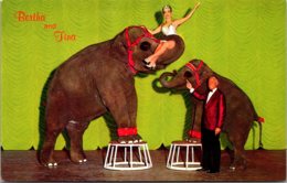 Nevada Sparks East Reno John Ascuaga's Nugget Bertha And Tina Performing Elephants - Reno