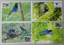 Maxi Cards Taiwan 2008 Conservation Of Birds Stamps - Blue Magpie Bird Forest Tung Flower - Cartoline Maximum