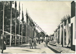 Zürich - Saffa Linie 1958 - Entsprechender Sonderstempel - Foto-Ansichtskarte - Verlag H. Maetzler-Prohaska Adliswil - Adliswil