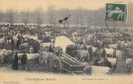 CPA 58 CHATILLON EN BAZOIS LE CHAMP DE FOIRE - Chatillon En Bazois