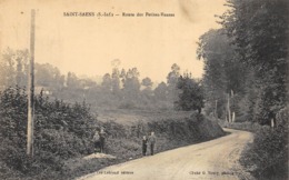 CPA 76 SAINT SAENS ROUTE DES PETITES VENTES - Saint Saens