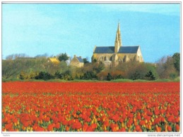 Carte Postale 29. Saint-Jean-Trolimon  La Chapelle N.D. De Tronoën Et Les Champs De Tulipes Trés Beau Plan - Saint-Jean-Trolimon