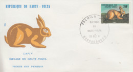 Enveloppe  FDC   1er  Jour    HAUTE  VOLTA     Lapin   1981 - Konijnen