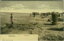 AK GERMANY - NORDERNEY - STRANDBILD - EDIG SCHAAR & DATHE - 1900s (BG5802) - Norderney