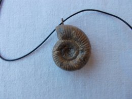 CADEAU  ORIGINAL.AMMONITE  FOSSILE MONTEE EN PENDENTIF.LONGUEUR DU CORDON REGLABLE.ORIGINE MAINE ET LOIRE. - Fossilien