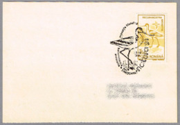 AVOCETA. Recurvirostra Avossetta. Avocette élégante. Timisoara 1995 - Mechanical Postmarks (Advertisement)