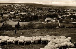 CPA AK Weil Der Stadt Vue Generale GERMANY (932185) - Weil Der Stadt